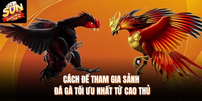 Đá Gà Tại Sunwin Không Gian Thi Đấu Rõ Ràng Và Ổn Định 3 Cách để tham gia sảnh Đá gà tối ưu nhất từ cao thủ